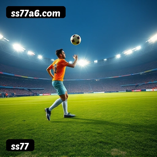 Suporte 24 horas ss77
