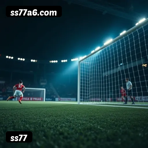 Níveis do programa VIP da ss77